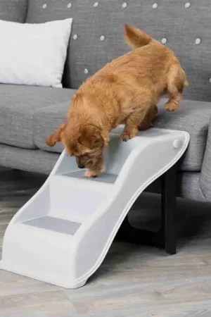 Trixie Trap Kunststof Weekendaanbieding