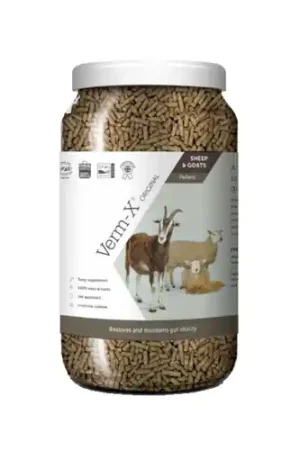 Verm-X voor Schapen en Geiten Koop Vandaag