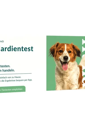 Snelle Levering Vetevo Giardiatest Hond