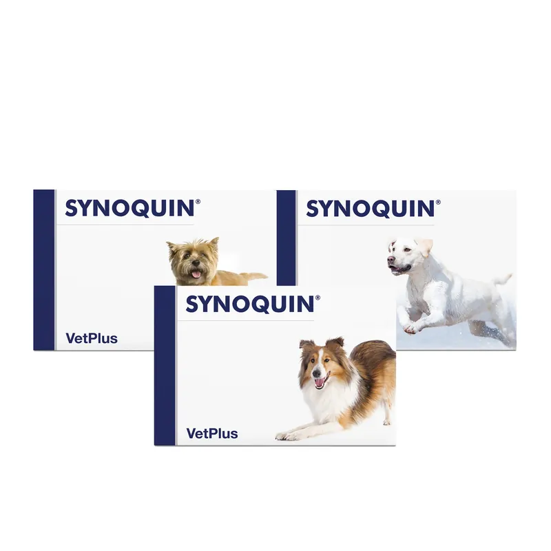 Vetplus Synoquin - Tabletten Beste Prijs