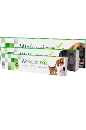 Goedkoop Wepharm WeBiotic Fast - Pasta
