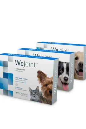 Direct Beschikbaar Wepharm WeJoint