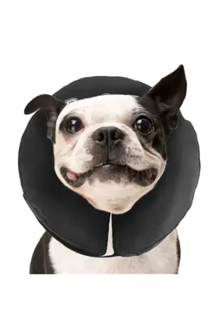 ZenPet Pro Collar Bestel Nu