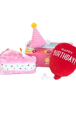 ZippyPaws Pup Birthday Box Pink Rechtstreeks Van De Fabrikant