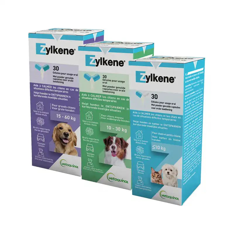 Zylkene Exclusieve Aanbieding