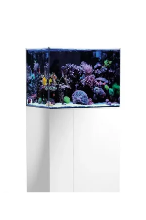 Shop Nu Aqua Medic Armatus 250 White
