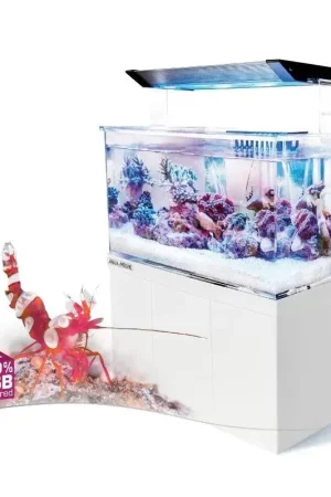Aqua Medic Armatus XS Gratis Retour