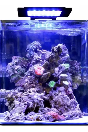 Shop Nu Blue Marine Reef 60