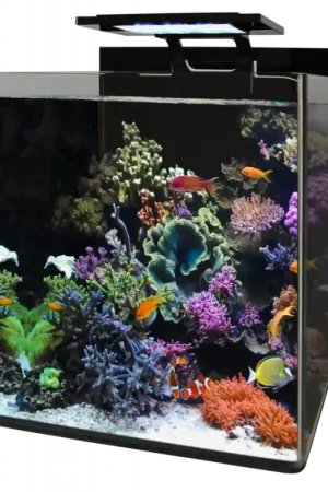Blue marine reef 90 aquarium Op = Op