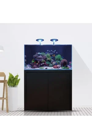Veilige Betaling Blue Marine Reef 350 Wit Compleet