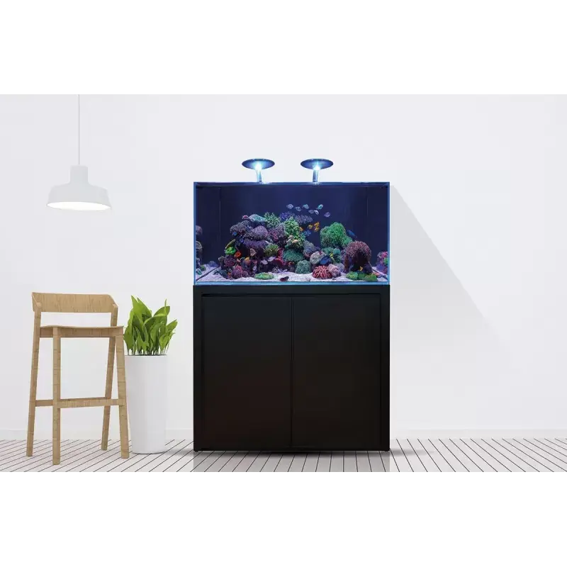 Veilige Betaling Blue Marine Reef 350 Wit Compleet