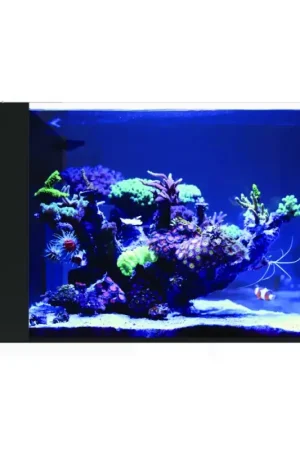 Waterbox AIO 25 Peninsula (zonder kast) Uitverkoop
