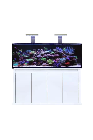 Exclusieve Aanbieding D-D Reef Pro 1500 White
