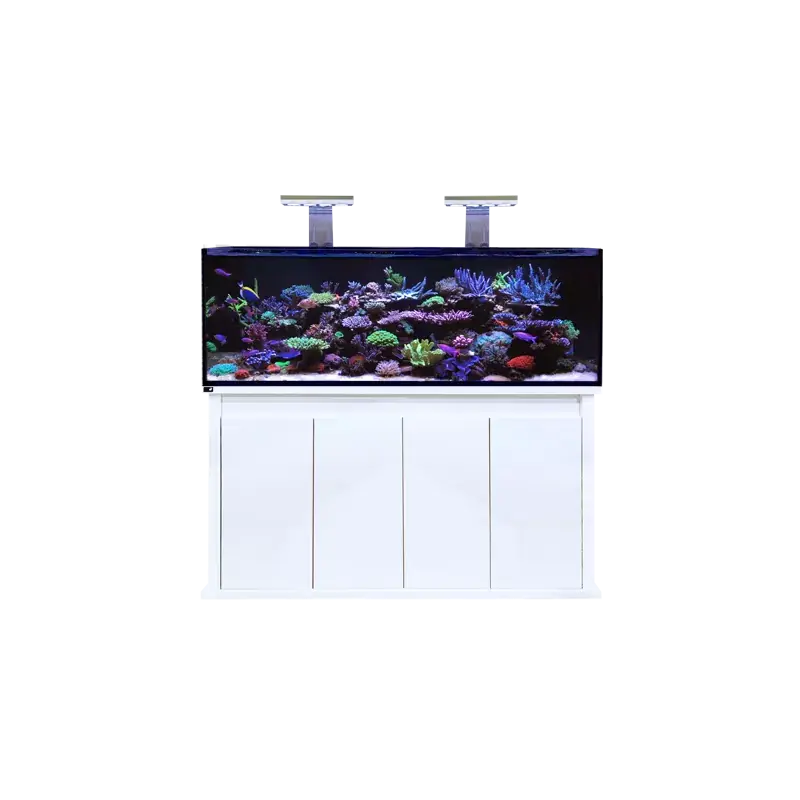 Exclusieve Aanbieding D-D Reef Pro 1500 White