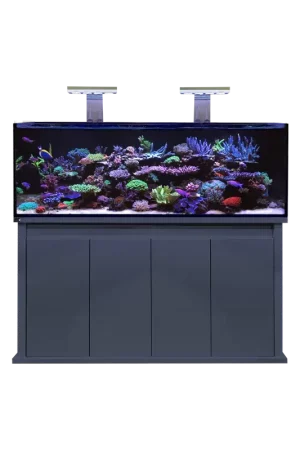 Seizoensaanbieding D-D Reef Pro 1500 Anthracite