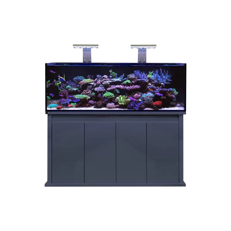 Seizoensaanbieding D-D Reef Pro 1500 Anthracite