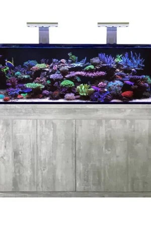 Populair D-D Reef Pro 1500 Driftwood Concrete