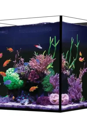 Rechtstreeks Van De Fabrikant Red Sea Desktop Cube - Met onderkast Zwart