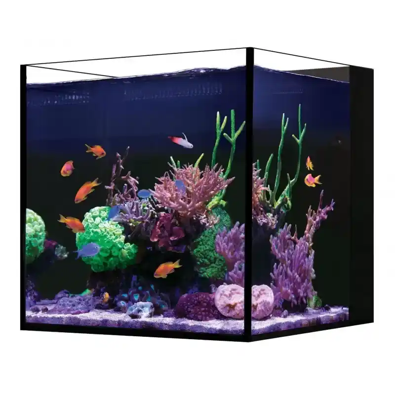 Nu Kopen Red Sea Desktop Cube - Met onderkast Wit