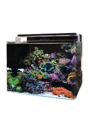 Lage Prijs Blue marine reef 120 aquarium