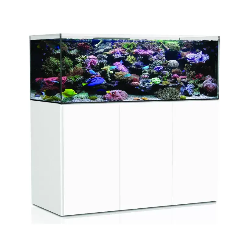 Bestel Nu Aqua Medic Armatus 575XD White