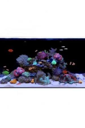 Alleen Vandaag Waterbox all in one 50.3 (zonder onderkast)
