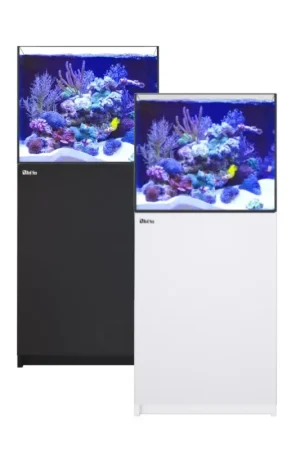 Lage Kosten Red Sea REEFER™ 200 System G3