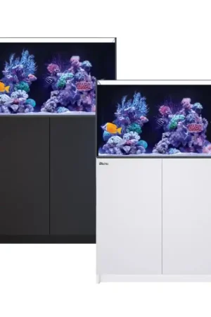 Bestel Nu Red Sea REEFER™ 250 System G3