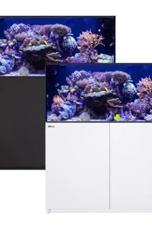 Korting Red Sea REEFER™ 425 System G3