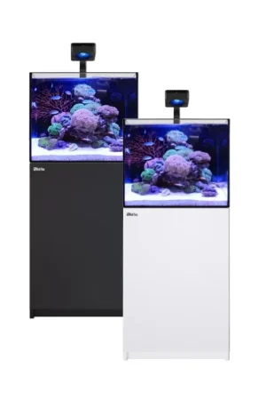 Goedkoop Red Sea REEFER 170 G3 Deluxe - (incl. 1 X RL115 & arm)