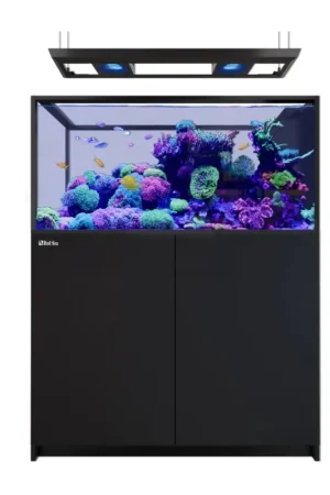 Nieuw Red Sea REEFER Peninsula 500 G3 Deluxe - Zwart (incl.RL115 & Pendant)