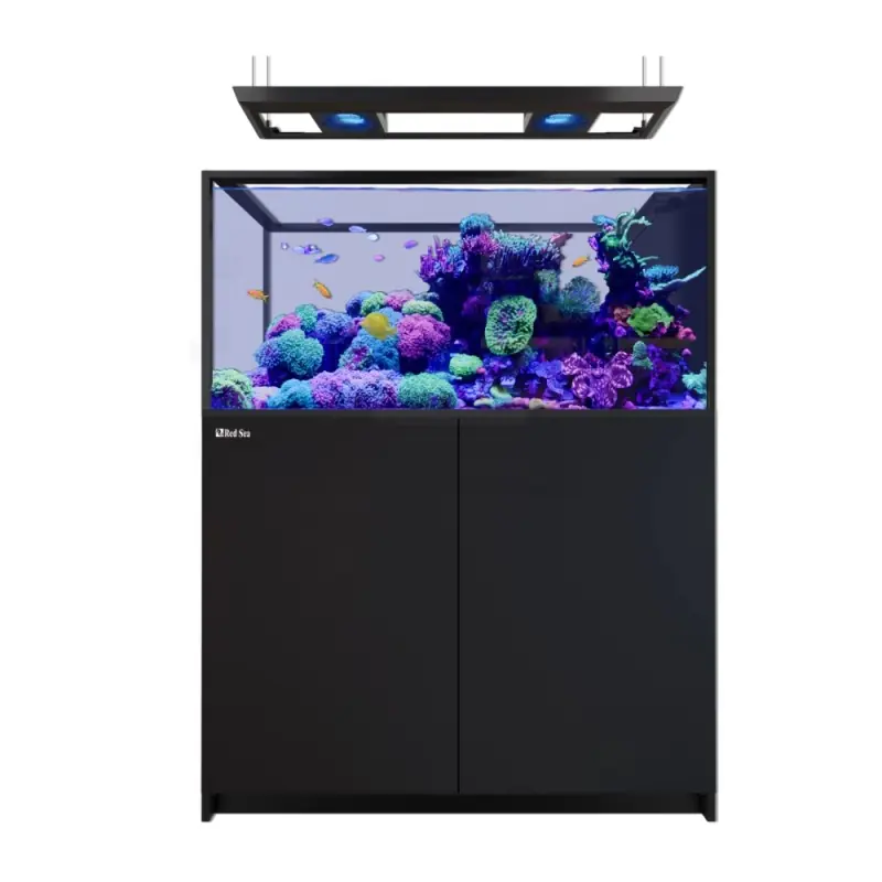 Nieuw Red Sea REEFER Peninsula 500 G3 Deluxe - Zwart (incl.RL115 & Pendant)