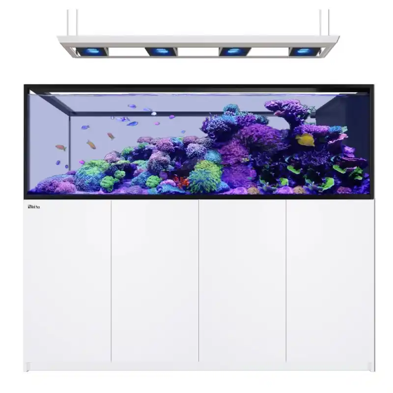 Lage Prijs Red Sea REEFER™ Peninsula S-950 G3 Deluxe – Wit (incl.RL 170S & pendants)