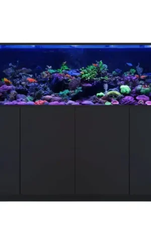 Red Sea REEFER™-G3 S 850 Complete System - Zwart Koop Online