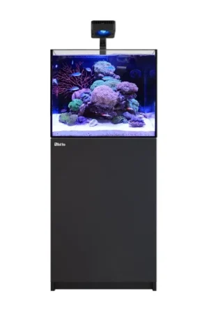 Red Sea REEFER MAX 170 G3 zwart Fabrieksprijs