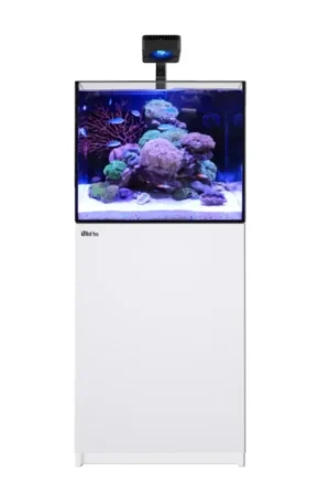 Express Levering Red Sea REEFER MAX 170 G3 - Wit