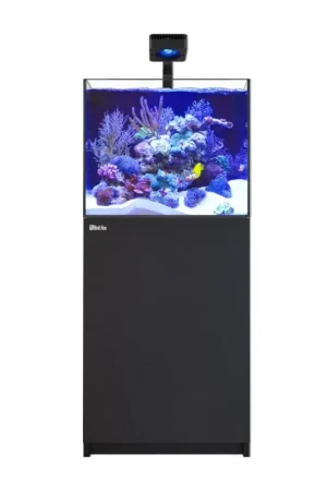 Red Sea REEFER MAX 200 G3 - Zwart Beste Prijs