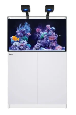 Red Sea REEFER MAX 250 G3 - Wit Gratis Retour