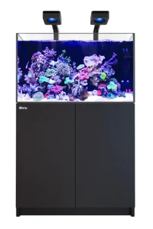 Betaalbaar Red Sea REEFER MAX 300 G3 - Zwart