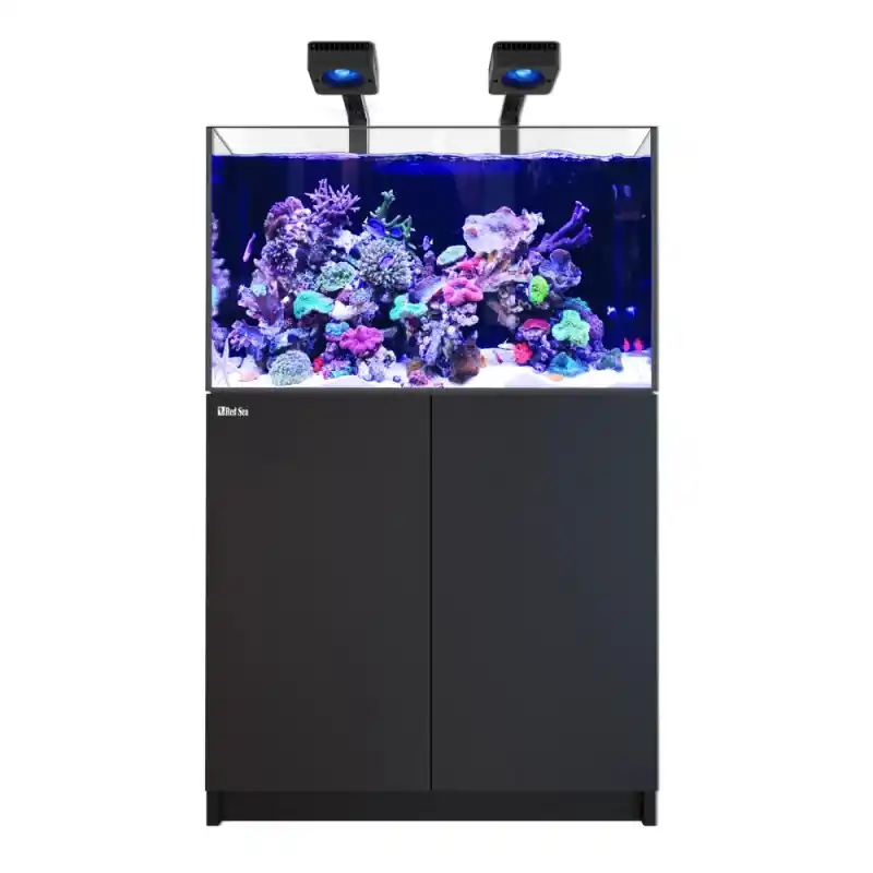 Betaalbaar Red Sea REEFER MAX 300 G3 - Zwart