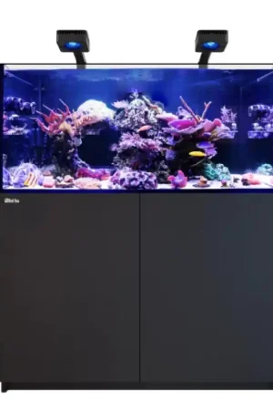 Gratis Retour Red Sea REEFER MAX 350 G3 - Zwart