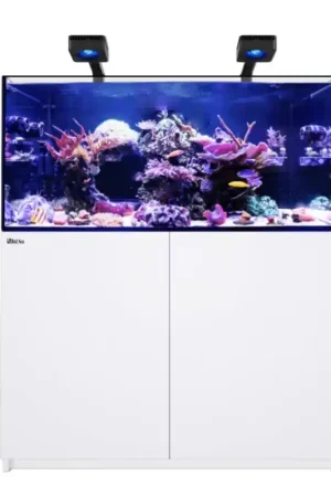 Finale Uitverkoop Red Sea REEFER MAX 350 G3 - Wit