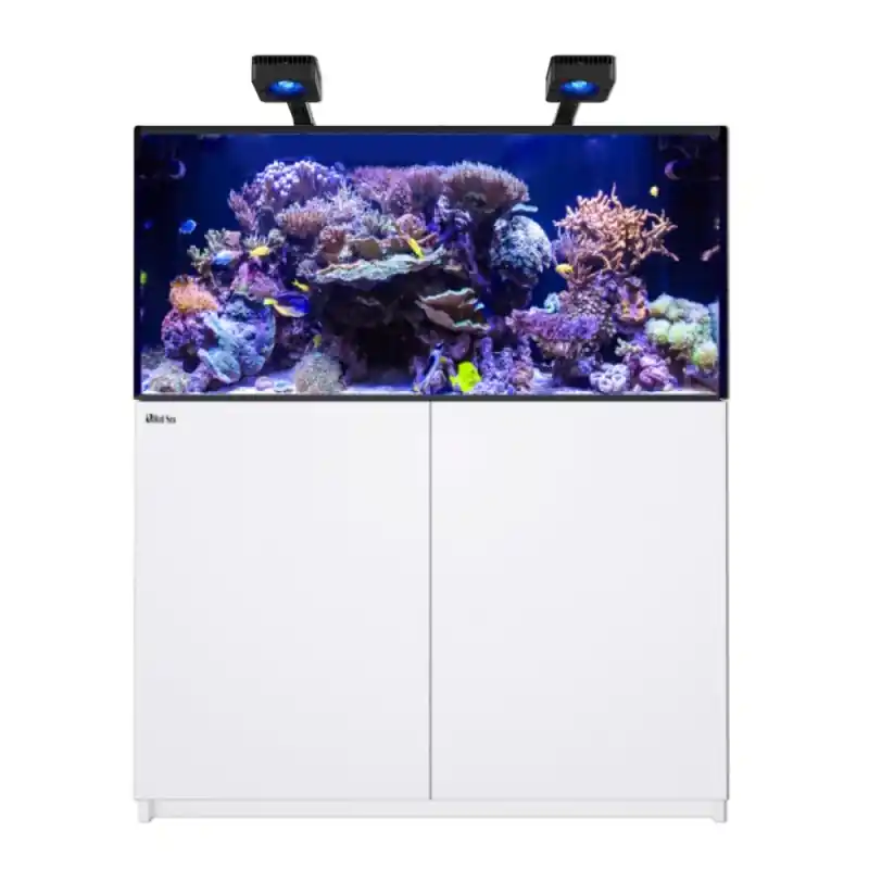 Bestel Nu Red Sea REEFER MAX 425 G3 - Wit