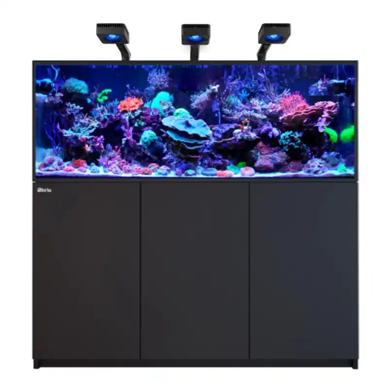 Aanbieding Red Sea REEFER MAX 525 G3 - Zwart