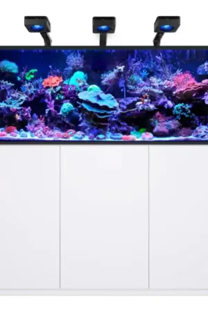 Red Sea REEFER MAX 525 G3 - Wit Betrouwbaar