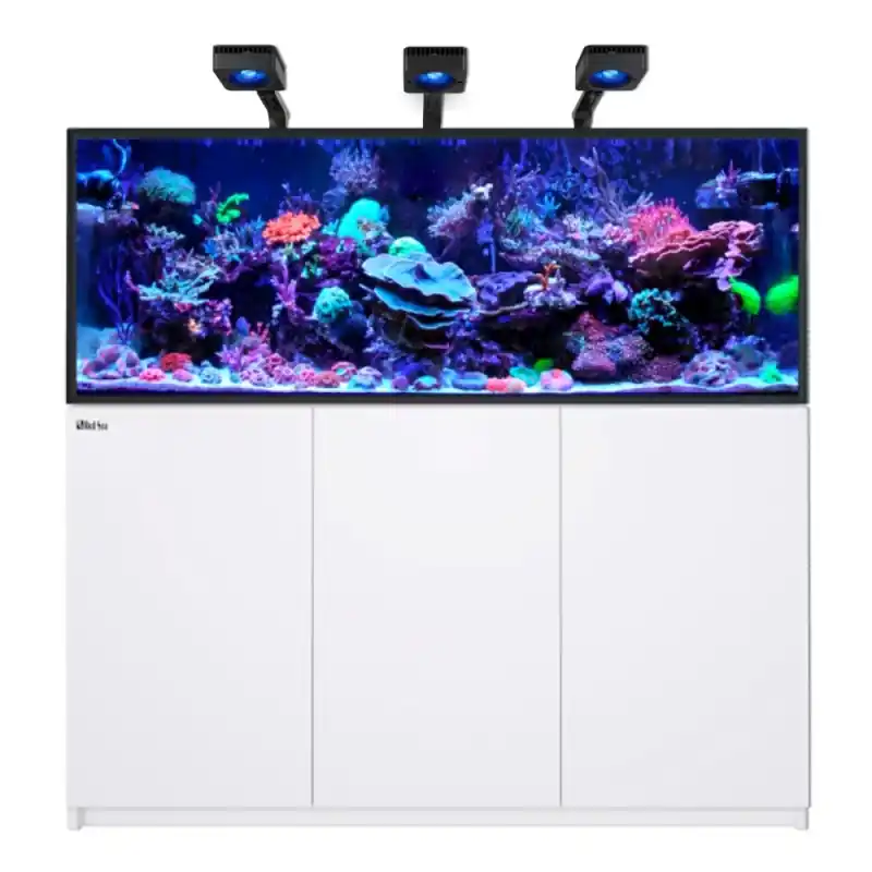 Red Sea REEFER MAX 525 G3 - Wit Betrouwbaar