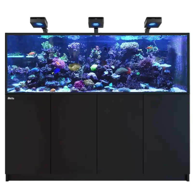 Express Levering Red Sea REEFER MAX 750 G3 - Zwart