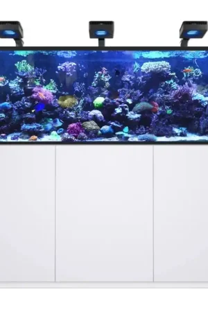Red Sea REEFER MAX 750 G3 - Wit Bestel Nu