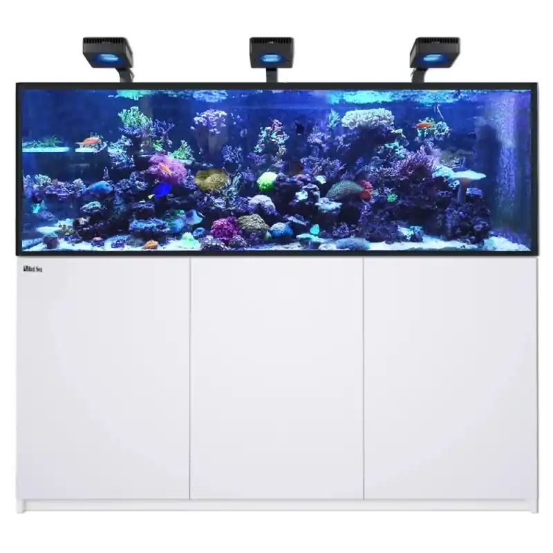 Red Sea REEFER MAX 750 G3 - Wit Bestel Nu