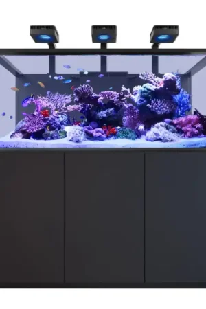 Red Sea REEFER MAX S-700 G3 - Zwart Gereduceerde Prijs